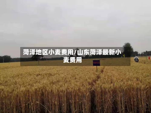 菏泽地区小麦费用/山东菏泽最新小麦费用-第2张图片