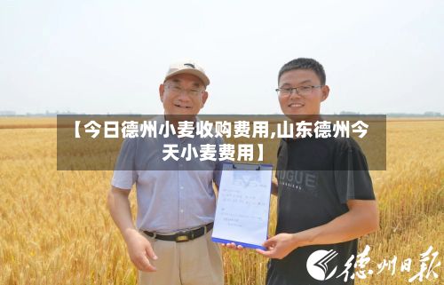 【今日德州小麦收购费用,山东德州今天小麦费用】