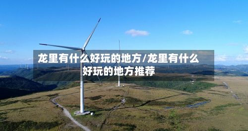 龙里有什么好玩的地方/龙里有什么好玩的地方推荐