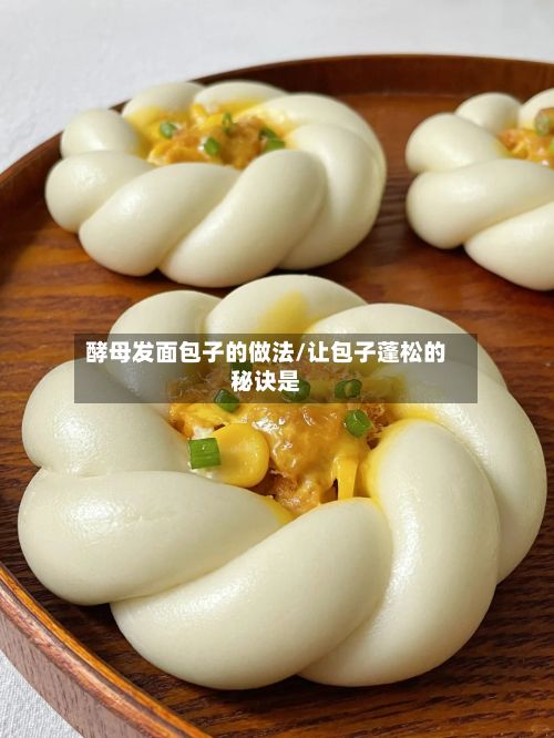 酵母发面包子的做法/让包子蓬松的秘诀是