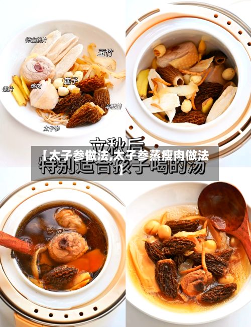 【太子参做法,太子参蒸瘦肉做法】