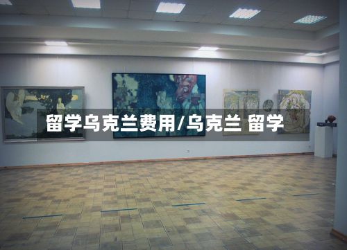 留学乌克兰费用/乌克兰 留学-第2张图片