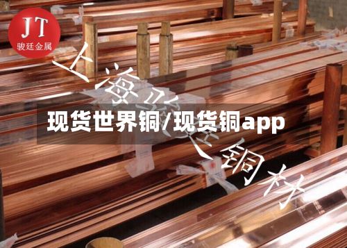 现货世界铜/现货铜app-第2张图片