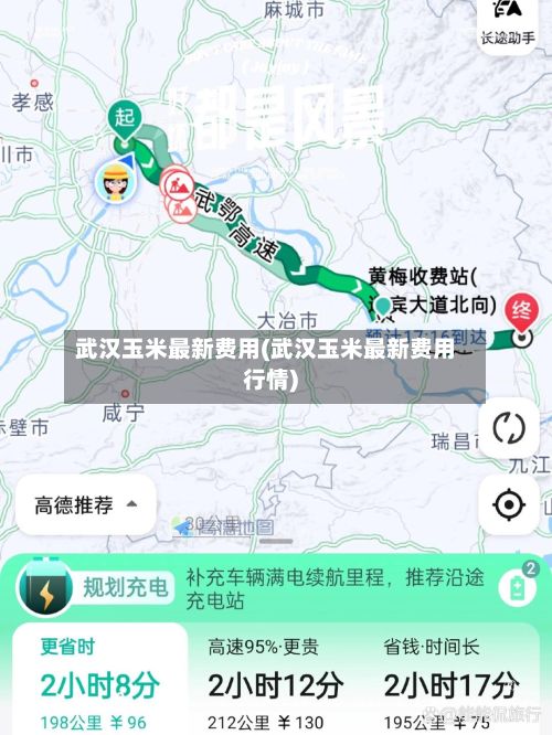 武汉玉米最新费用(武汉玉米最新费用行情)