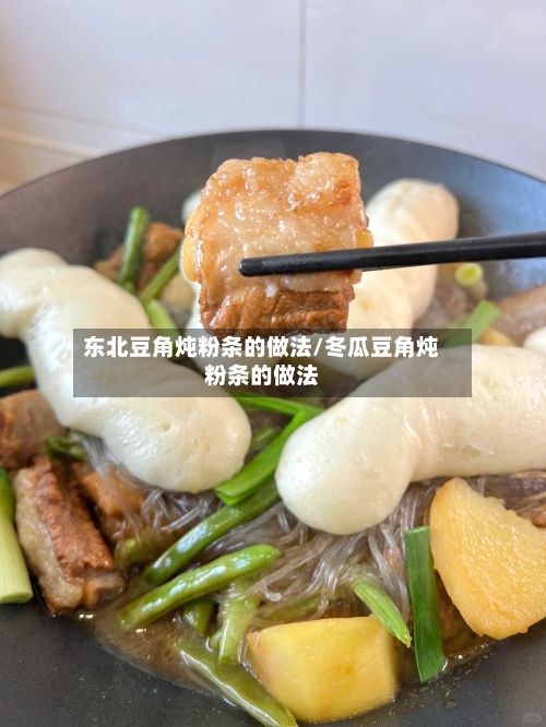 东北豆角炖粉条的做法/冬瓜豆角炖粉条的做法-第2张图片