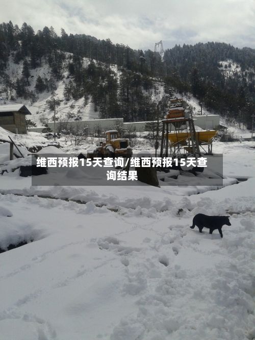 维西预报15天查询/维西预报15天查询结果-第2张图片