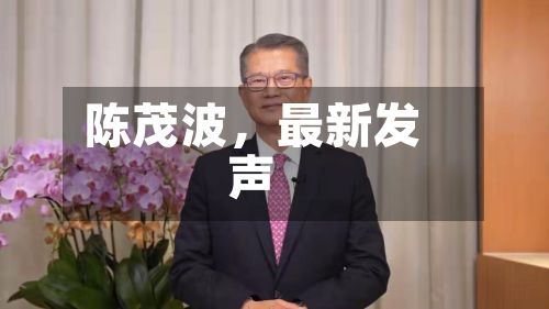 陈茂波，最新发声