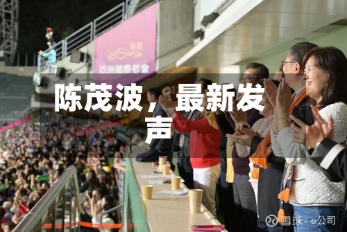 陈茂波，最新发声-第2张图片