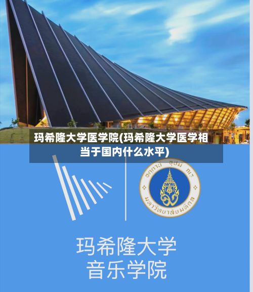 玛希隆大学医学院(玛希隆大学医学相当于国内什么水平)-第3张图片