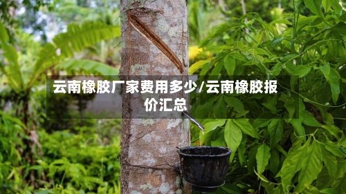 云南橡胶厂家费用多少/云南橡胶报价汇总-第2张图片