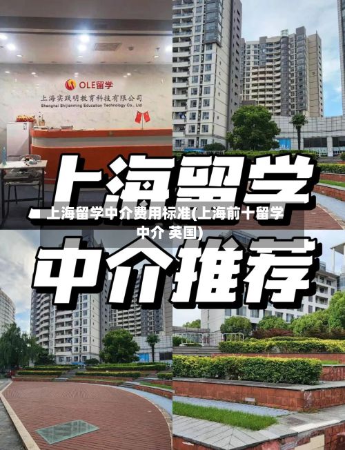 上海留学中介费用标准(上海前十留学中介 英国)