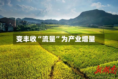 变丰收“流量	”为产业增量-第3张图片