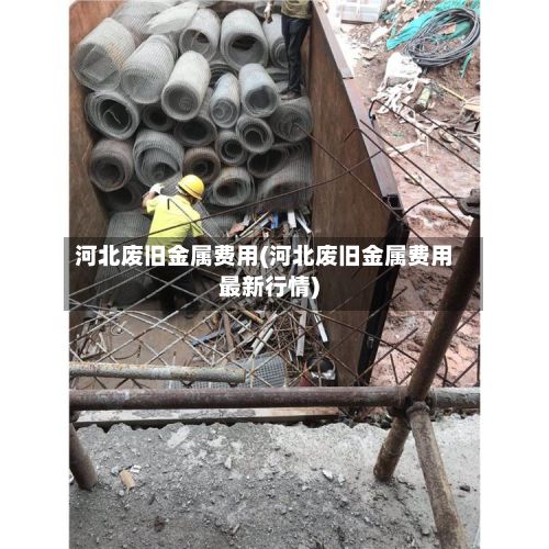 河北废旧金属费用(河北废旧金属费用最新行情)-第2张图片