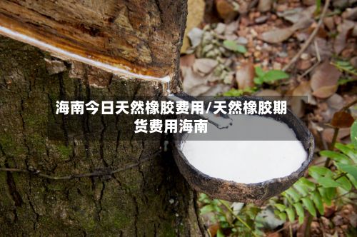 海南今日天然橡胶费用/天然橡胶期货费用海南-第3张图片
