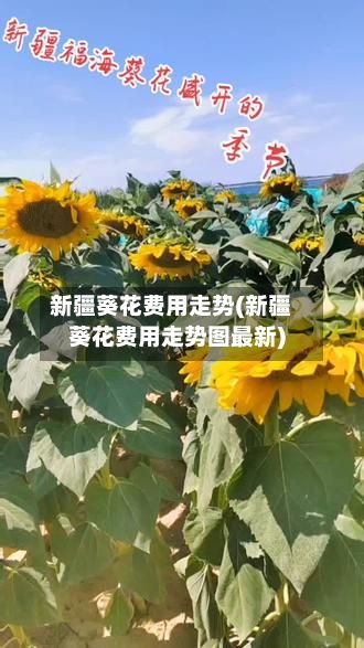 新疆葵花费用走势(新疆葵花费用走势图最新)-第2张图片