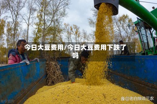 今日大豆费用/今日大豆费用下跌了吗