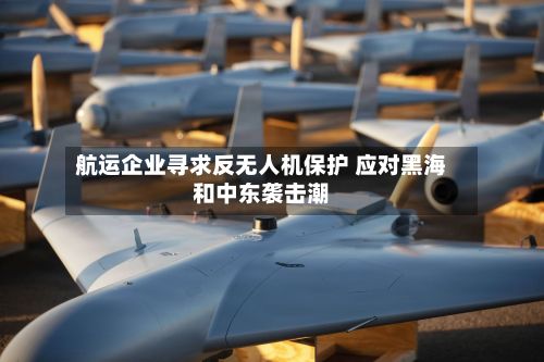 航运企业寻求反无人机保护 应对黑海和中东袭击潮