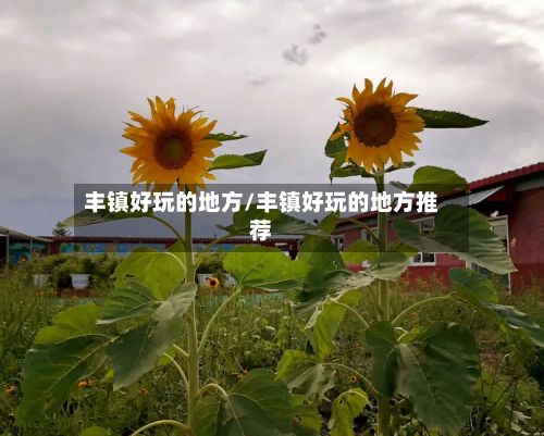 丰镇好玩的地方/丰镇好玩的地方推荐-第2张图片
