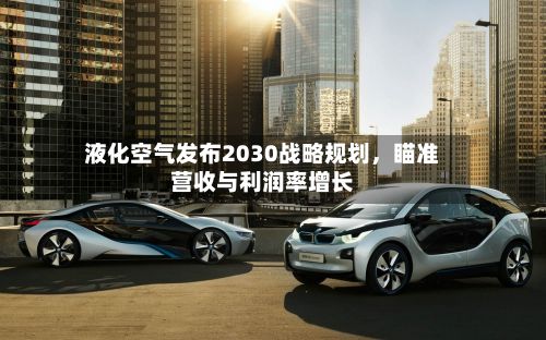 液化空气发布2030战略规划，瞄准营收与利润率增长-第2张图片