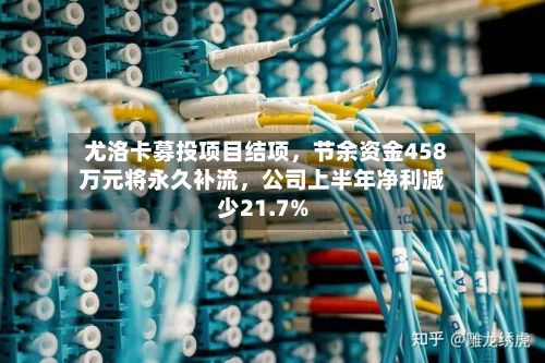 尤洛卡募投项目结项，节余资金458万元将永久补流，公司上半年净利减少21.7%-第3张图片