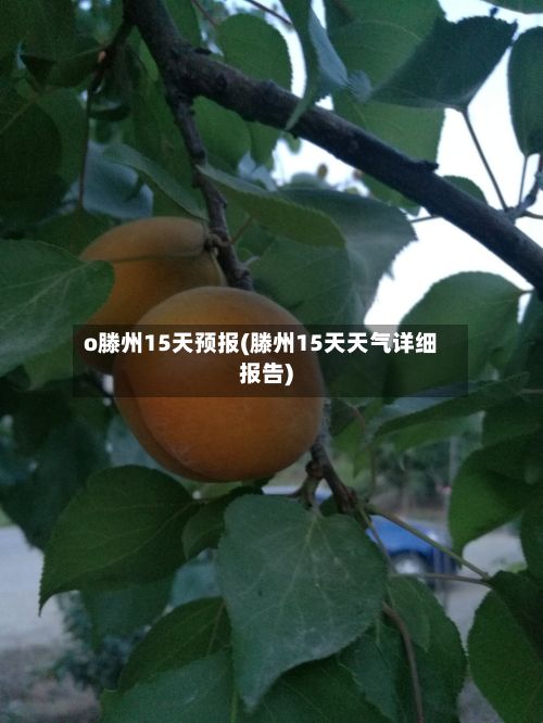 o滕州15天预报(滕州15天天气详细报告)-第2张图片
