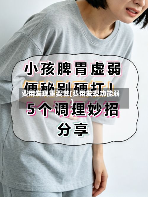 费用发现重要性(费用发现功能弱)
