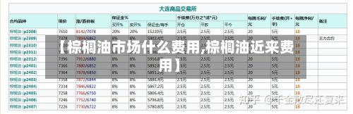 【棕榈油市场什么费用,棕榈油近来费用】