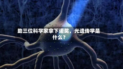 助三位科学家拿下诺奖	，光遗传学是什么？-第1张图片