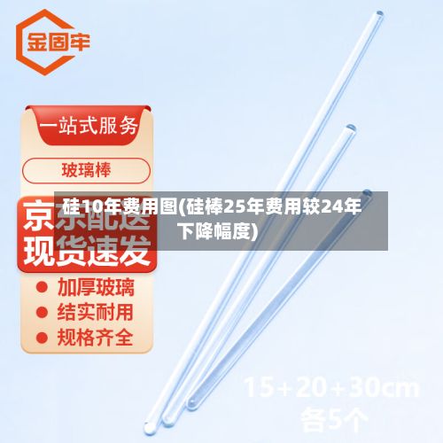硅10年费用图(硅棒25年费用较24年下降幅度)-第2张图片