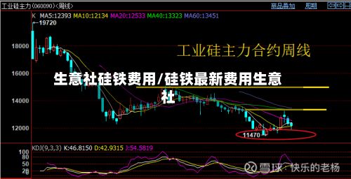 生意社硅铁费用/硅铁最新费用生意社-第2张图片