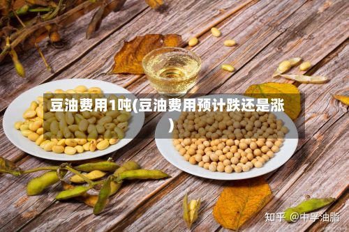 豆油费用1吨(豆油费用预计跌还是涨)-第2张图片