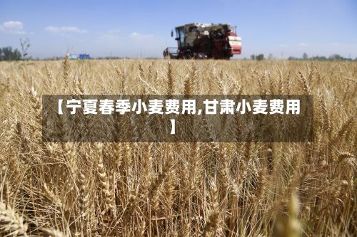 【宁夏春季小麦费用,甘肃小麦费用】