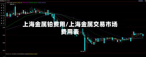 上海金属铂费用/上海金属交易市场费用表