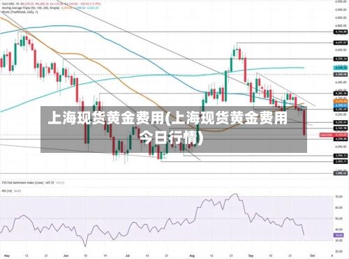 上海现货黄金费用(上海现货黄金费用今日行情)