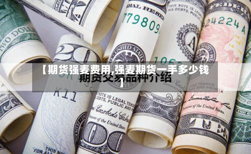 【期货强麦费用,强麦期货一手多少钱】