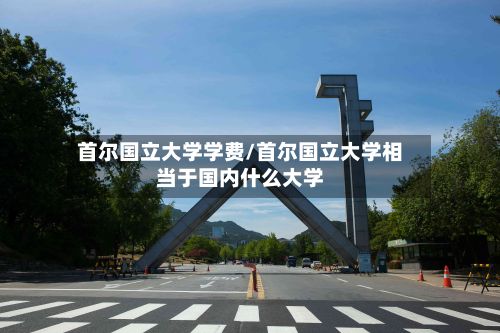 首尔国立大学学费/首尔国立大学相当于国内什么大学-第3张图片