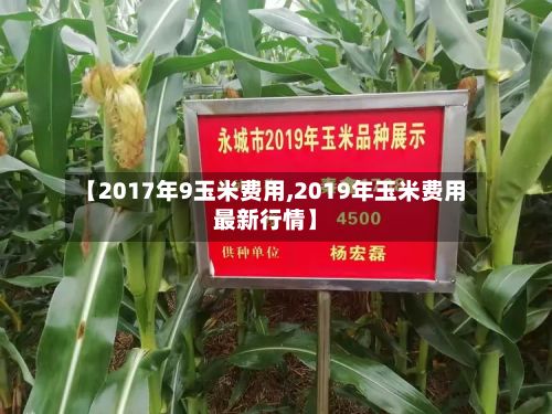 【2017年9玉米费用,2019年玉米费用最新行情】-第3张图片