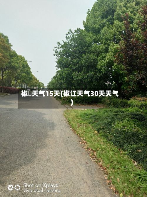 椒冮天气15天(椒江天气30天天气)-第2张图片