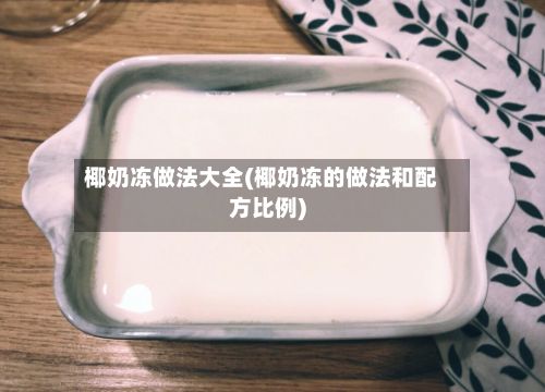 椰奶冻做法大全(椰奶冻的做法和配方比例)