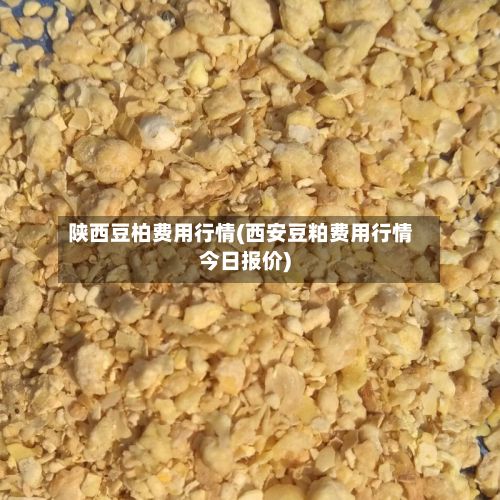 陕西豆柏费用行情(西安豆粕费用行情今日报价)