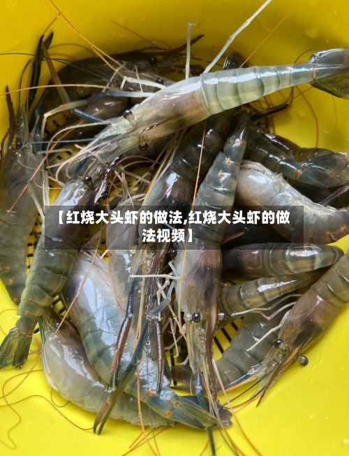 【红烧大头虾的做法,红烧大头虾的做法视频】-第2张图片