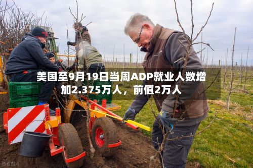 美国至9月19日当周ADP就业人数增加2.375万人，前值2万人-第2张图片