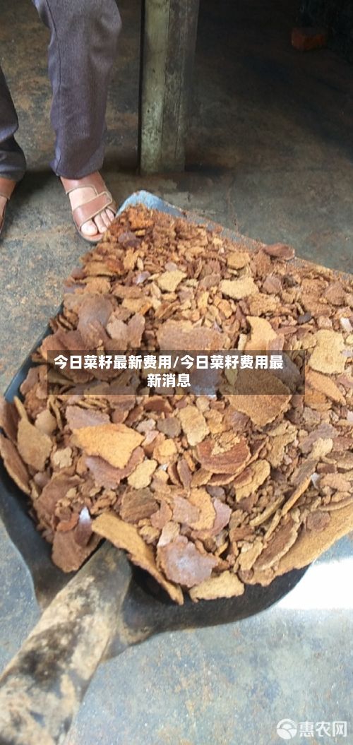 今日菜籽最新费用/今日菜籽费用最新消息-第2张图片