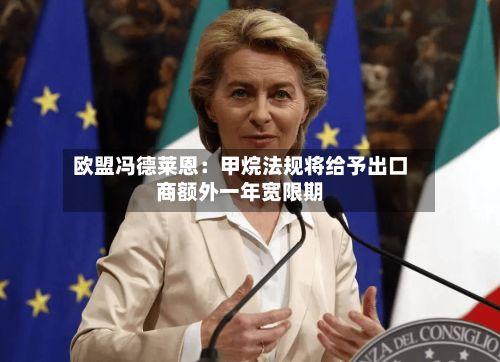 欧盟冯德莱恩：甲烷法规将给予出口商额外一年宽限期-第2张图片