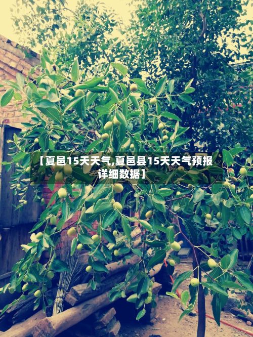 【夏邑15天天气,夏邑县15天天气预报详细数据】