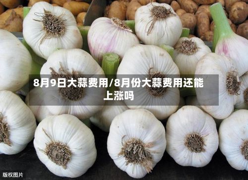 8月9日大蒜费用/8月份大蒜费用还能上涨吗-第2张图片