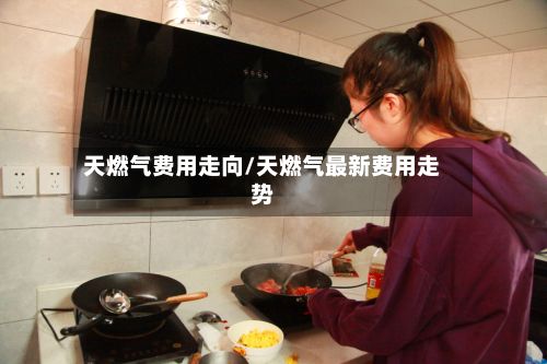天燃气费用走向/天燃气最新费用走势-第2张图片