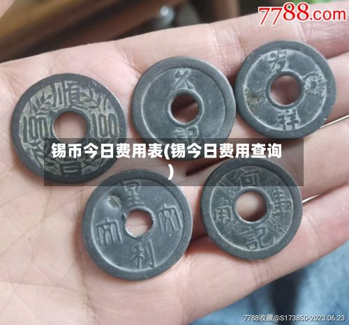 锡币今日费用表(锡今日费用查询)