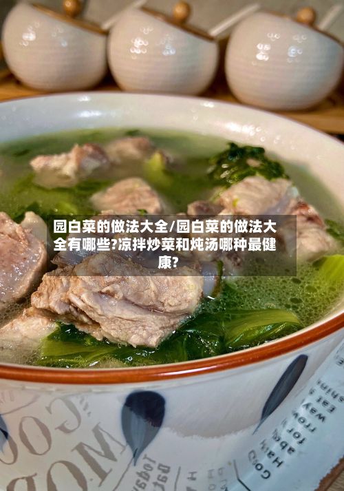 园白菜的做法大全/园白菜的做法大全有哪些?凉拌炒菜和炖汤哪种最健康?