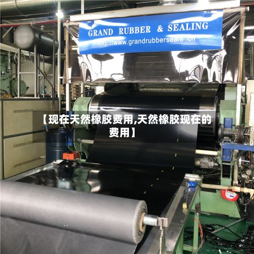 【现在天然橡胶费用,天然橡胶现在的费用】-第2张图片